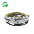 LED Pixel Ws2811 RGB Pixel LED Light 30LED LED Strip DC12 Non-Waterproof Strip with CE Certificate